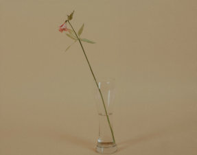 好好說話，避免情緒化