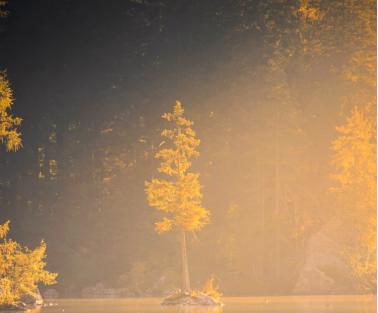 如何堅持做一件事？