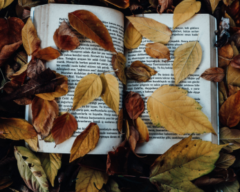 缺愛(ài)如何治愈