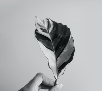 停止對抑郁病人說這三句安慰的話!