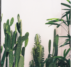 常說這些話，面善心黑，莫深交