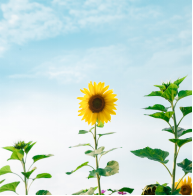 人際交往的方法