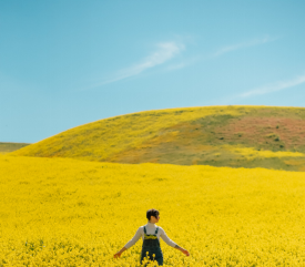 應對焦慮:選擇你的策略