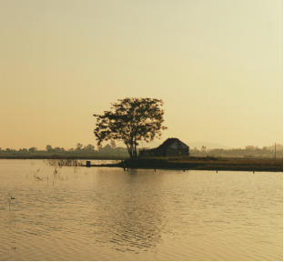 心理疏導的價值與效用!