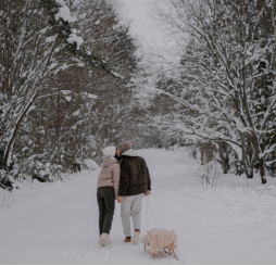 愛是一種能力，需要學習