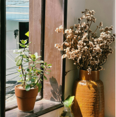 要成長，就要和表演型人格斗爭