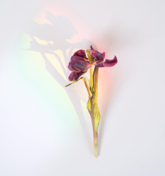 造成負面評估的三種建議不要提