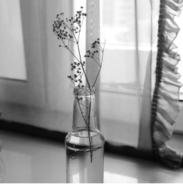 雙相情感障礙的兩面性