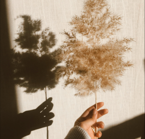 克服社交恐懼癥的秘訣?