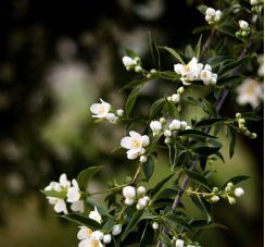界限缺失，災難之源