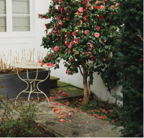 最明顯的人格障礙，你了解多少?