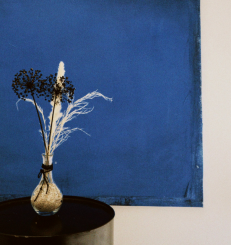 越界的行為和表現(xiàn)