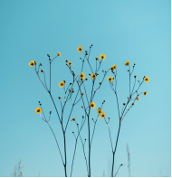 潔癖: 愛衛生，勿過度