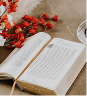 怎樣運用元思維進行思考？