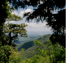 五步擺脫過度思考，實現高效行動