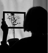 愛情新手指南:擺脫迷茫，駕馭愛情!