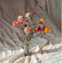 你的夢境揭示了你內心的隱秘