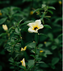 值得深交的朋友，具有哪些特點
