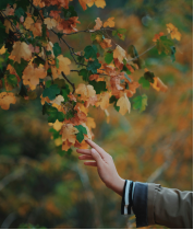 SAD的認知表現(xiàn)形式