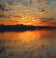 到底是誰在尷尬呢？