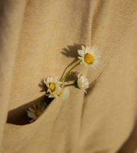 職場通訊壓力如何影響與應對