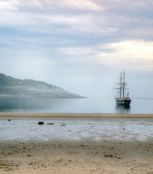 內(nèi)向的人如何社交