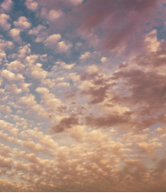 面對自己的比較之心，我們又該怎么做呢？