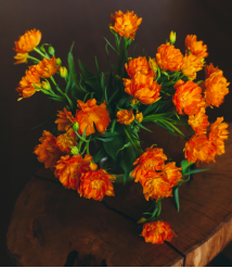 掙扎于失眠的困擾:重拾睡眠的秘訣