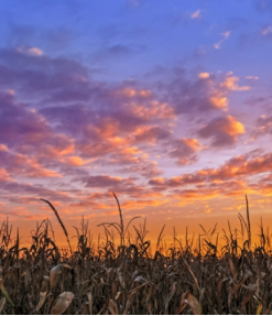 抑郁如何重塑我們對(duì)人與事的認(rèn)知方式