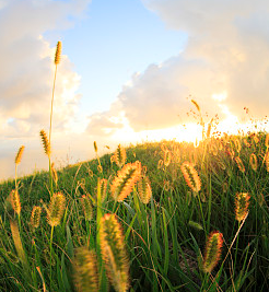 向往積極的人，才會擁有積極的人生