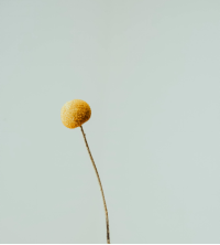 男友頻繁爽約引發心理反感: 如何應對失望與情緒困擾?