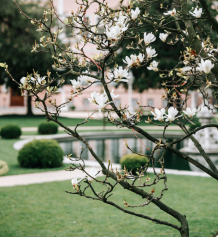 應對強迫性思維:策略與方法以消除負面思緒