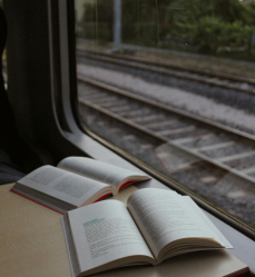 用心觀察，認識你自己