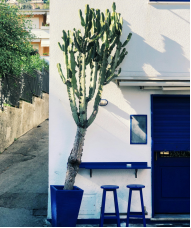 于絕望深淵中覓希望曙光: 轉變即在眼前