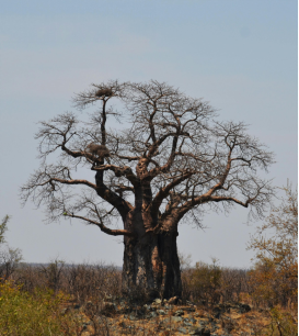 擁抱你的焦慮情緒