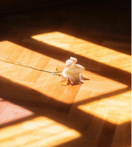 如何增強對生活的掌控感