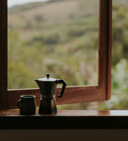 職業(yè)價值觀中的內在和外在的價值維度