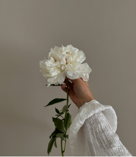 述情障礙:如何更有效地傳達愛與情緒表達