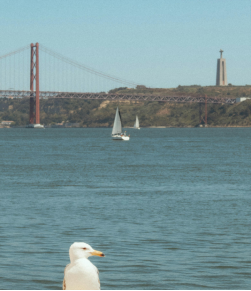 應對職場變化，保持積極心態