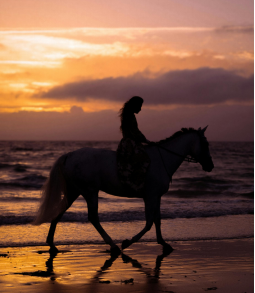 在獨處中尋找自我，在社交中拓展世界