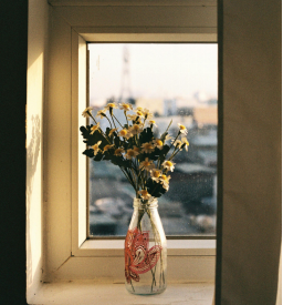 悅納自我，追求內心的寧靜與松弛