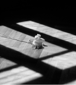 面對“我弱我有理”的人怎么對付