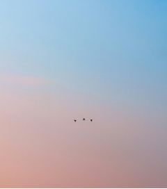 安全型依戀對于孩子來說很重要