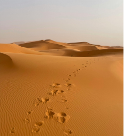 過去與現(xiàn)在的自我探索