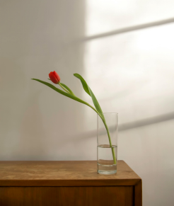 即刻緩解焦慮:心理學家揭秘六大實用技巧!