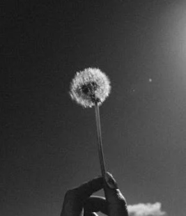 解鎖自身的潛在優勢