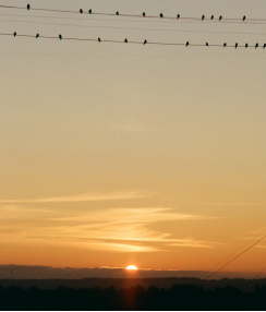 邊界感：良好人際關(guān)系的關(guān)鍵