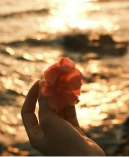 修復失望型分手