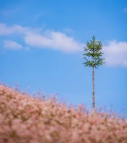 負面情緒加速衰老，如何激發“快樂激素”？