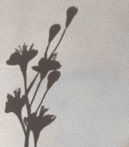 逃離焦慮的陷阱：掌握這5種技巧讓你恢復自信！